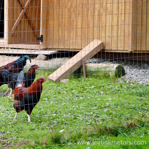 14 gauge welded Wire fence